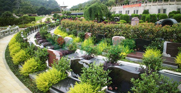 亿万先生MR·(中国集团)官方网站