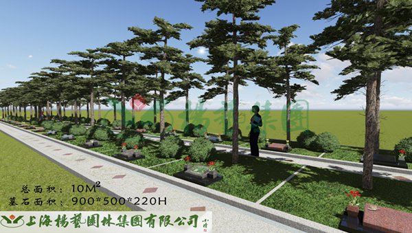 亿万先生MR·(中国集团)官方网站