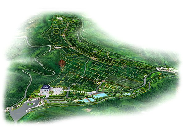 亿万先生MR·(中国集团)官方网站