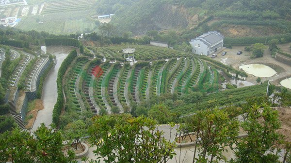 亿万先生MR·(中国集团)官方网站