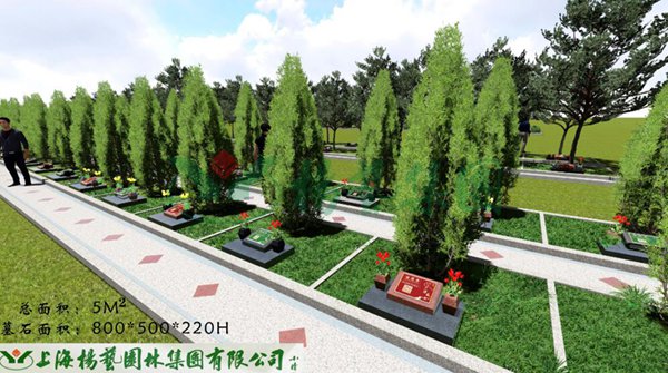 亿万先生MR·(中国集团)官方网站