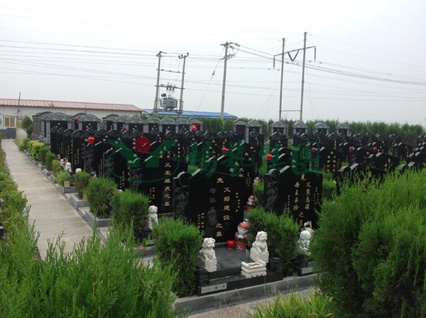 亿万先生MR·(中国集团)官方网站