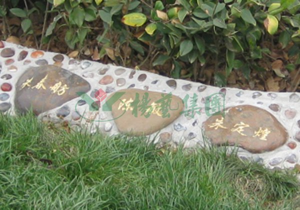 亿万先生MR·(中国集团)官方网站