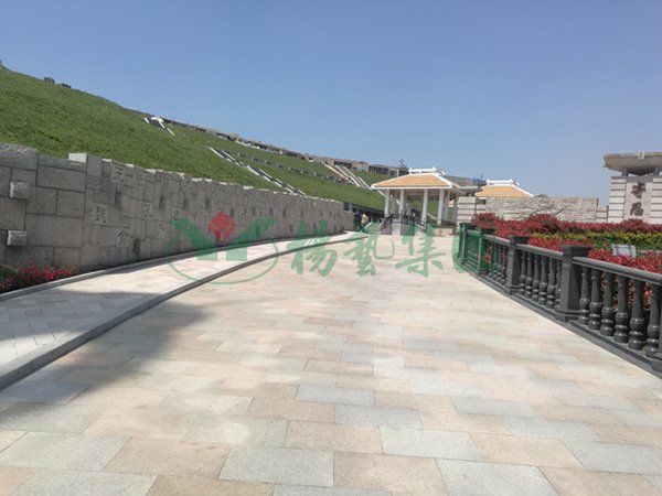 亿万先生MR·(中国集团)官方网站