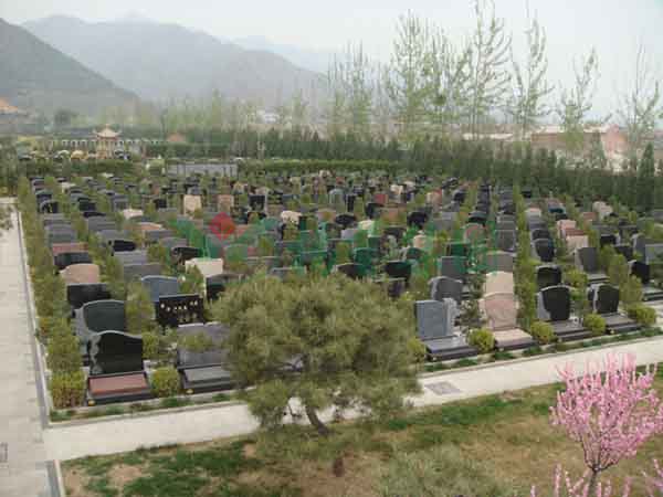 亿万先生MR·(中国集团)官方网站