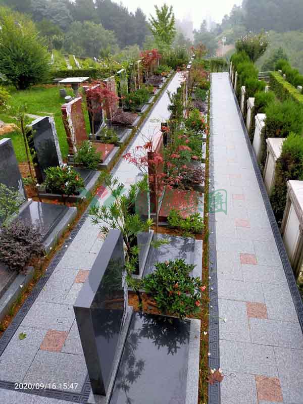 亿万先生MR·(中国集团)官方网站