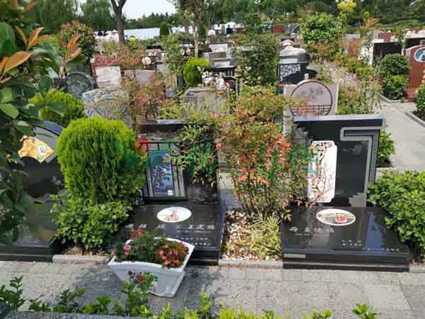 亿万先生MR·(中国集团)官方网站