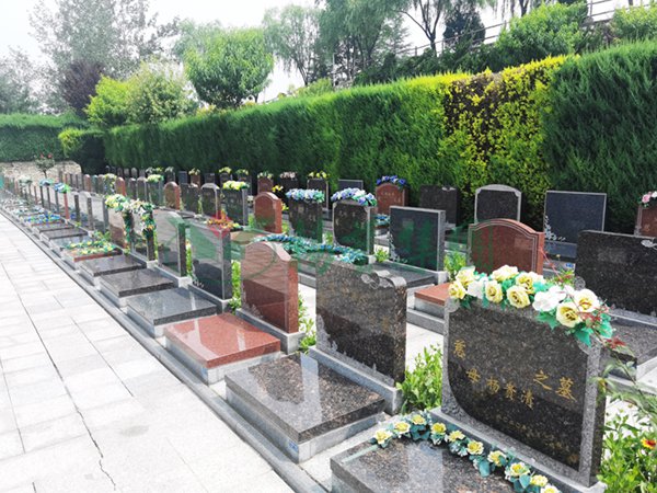 亿万先生MR·(中国集团)官方网站