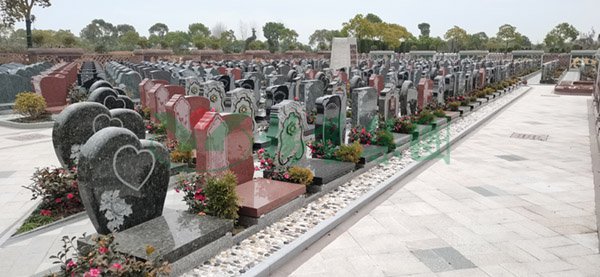 亿万先生MR·(中国集团)官方网站