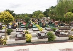 上海；；懔靶腔鹎