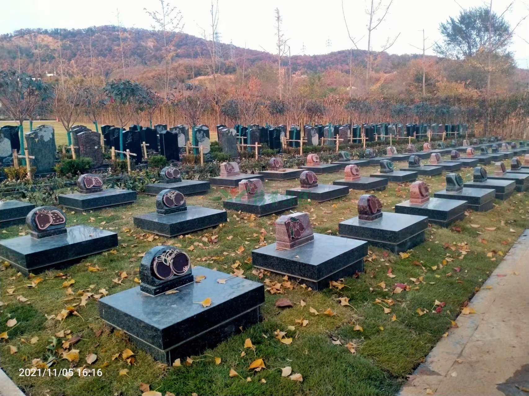 亿万先生MR·(中国集团)官方网站