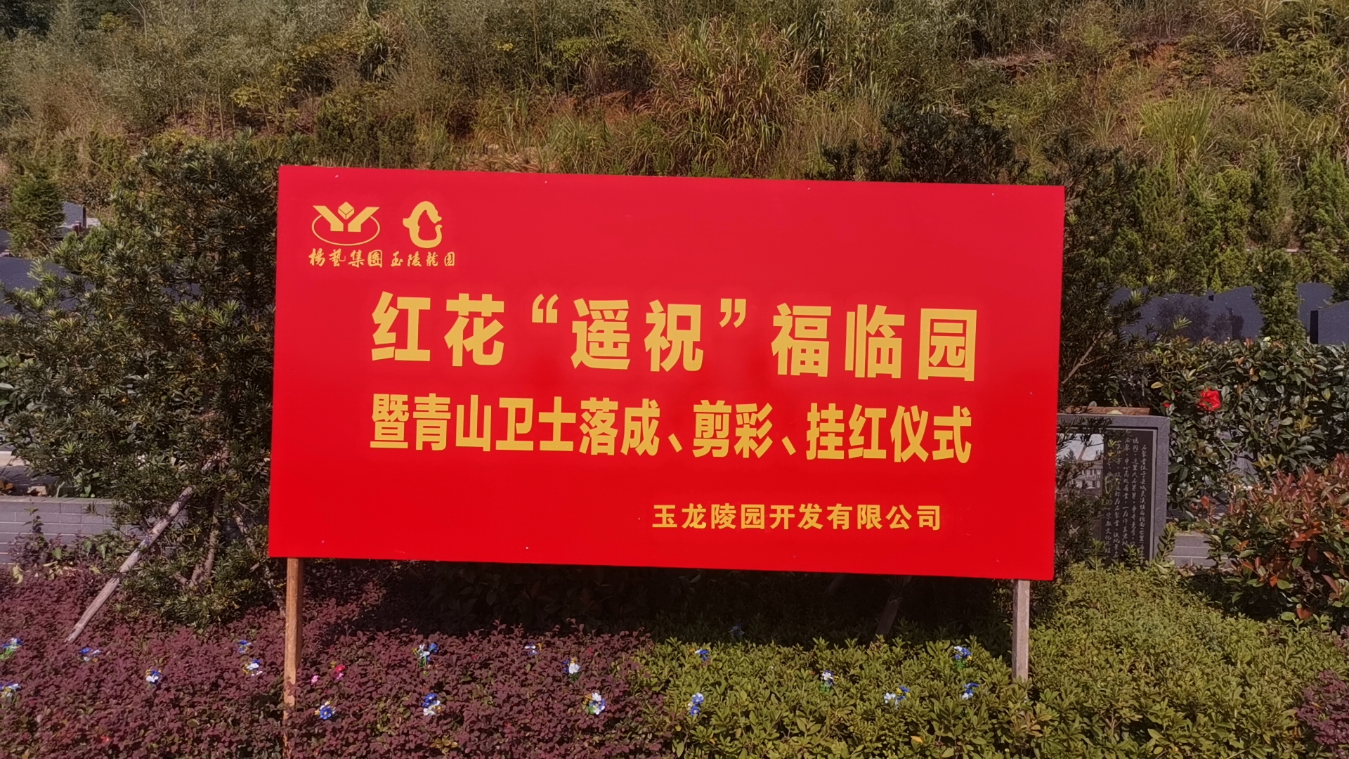 红花传爱意，，，情满玉龙园！