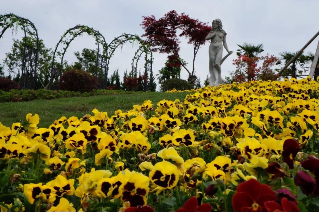 亿万先生MR·(中国集团)官方网站