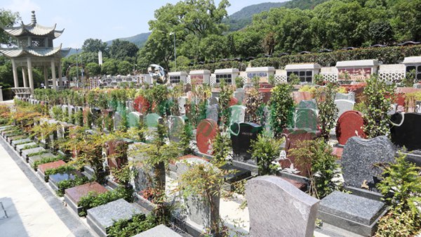 亿万先生MR·(中国集团)官方网站