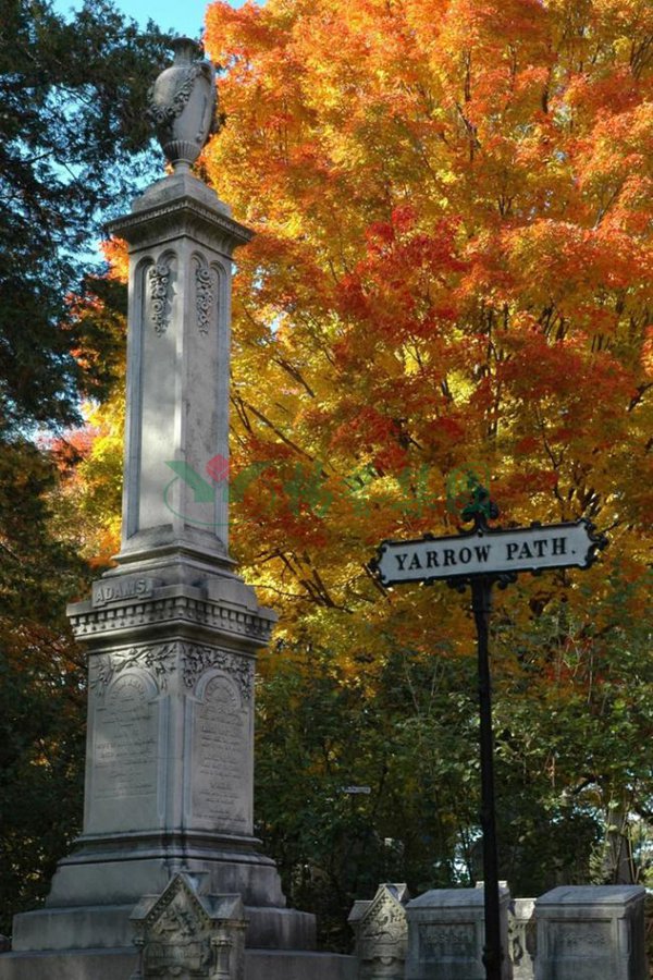 亿万先生MR·(中国集团)官方网站