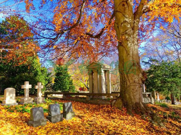 亿万先生MR·(中国集团)官方网站