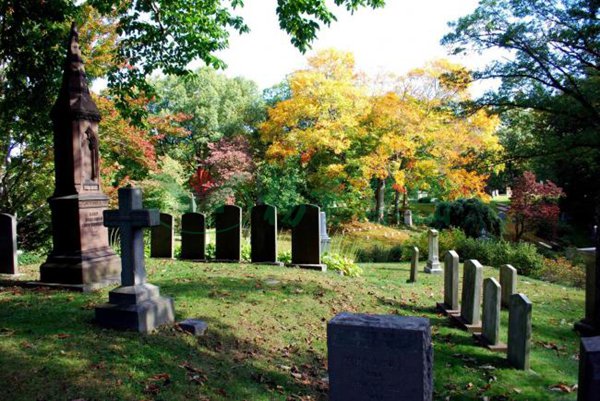 亿万先生MR·(中国集团)官方网站