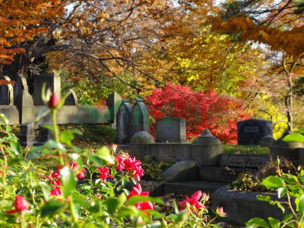 亿万先生MR·(中国集团)官方网站