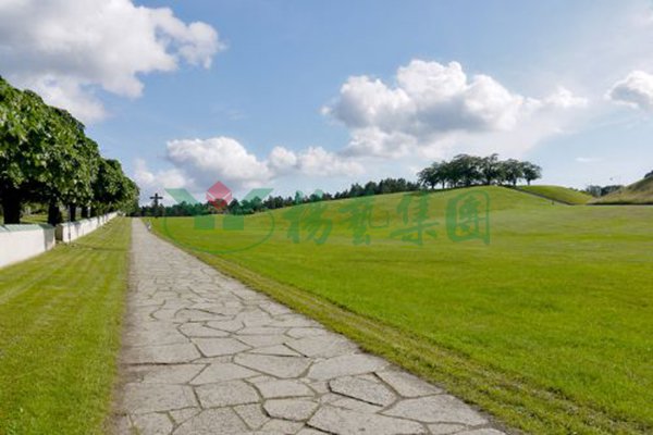 亿万先生MR·(中国集团)官方网站