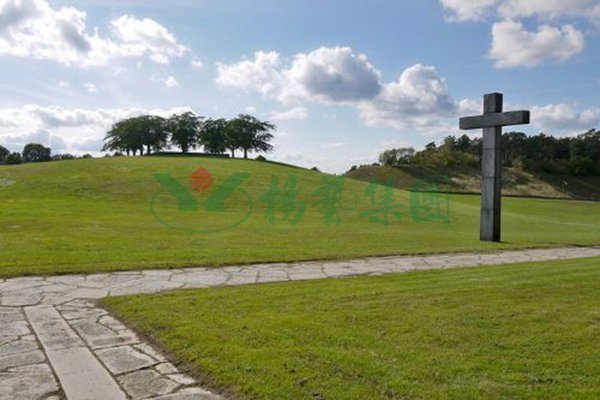 亿万先生MR·(中国集团)官方网站