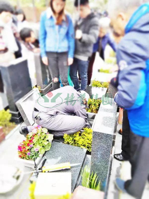 亿万先生MR·(中国集团)官方网站