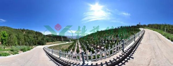 亿万先生MR·(中国集团)官方网站