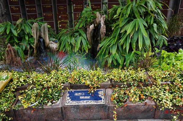 亿万先生MR·(中国集团)官方网站