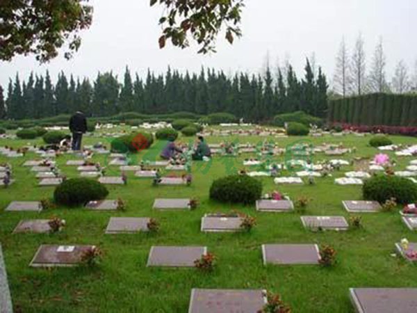 亿万先生MR·(中国集团)官方网站