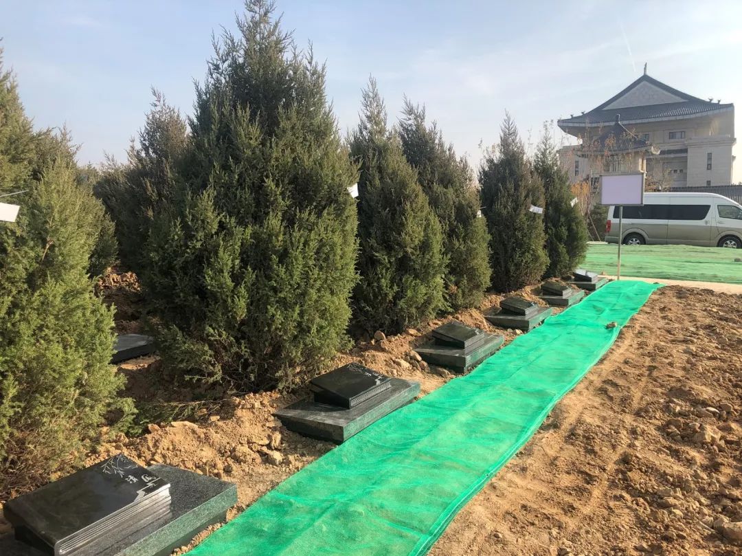 亿万先生MR·(中国集团)官方网站