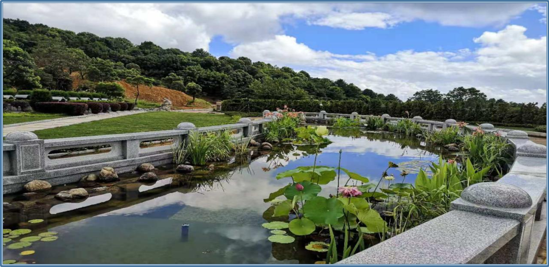 亿万先生MR·(中国集团)官方网站