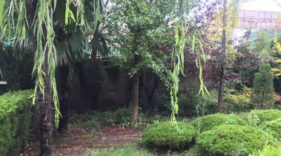 亿万先生MR·(中国集团)官方网站