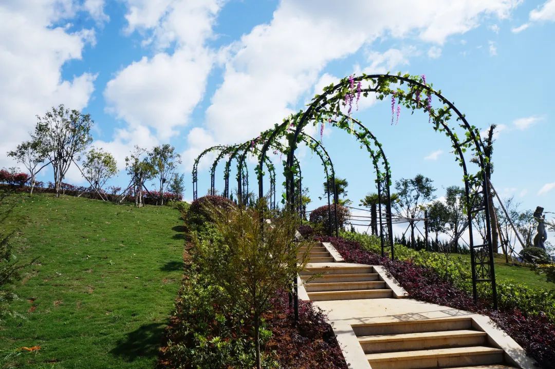 亿万先生MR·(中国集团)官方网站