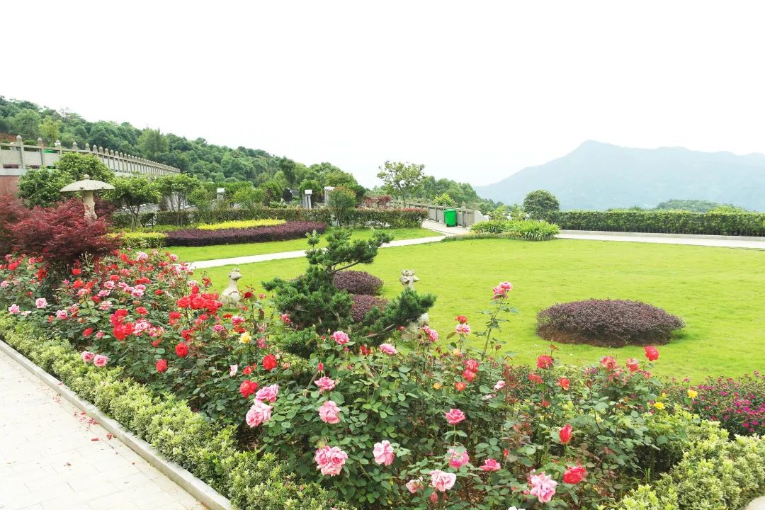 亿万先生MR·(中国集团)官方网站