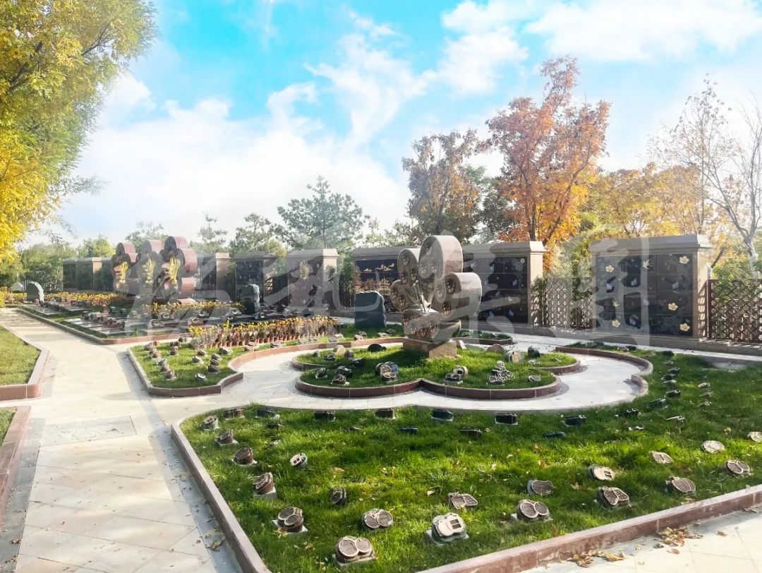 亿万先生MR·(中国集团)官方网站