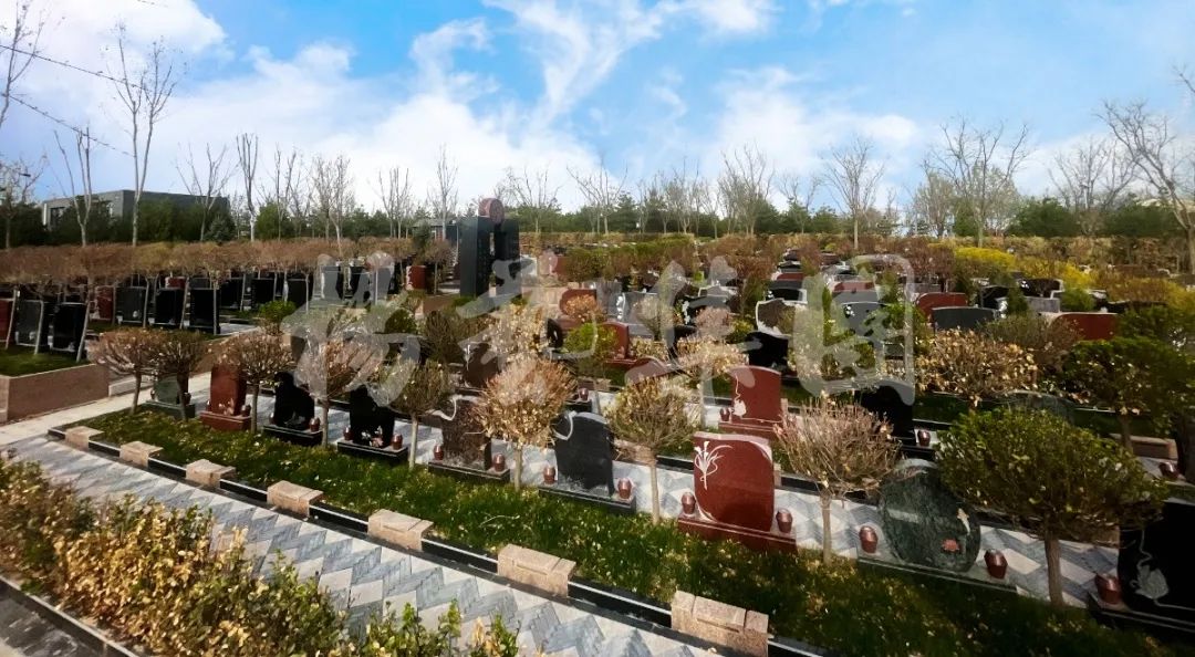 亿万先生MR·(中国集团)官方网站