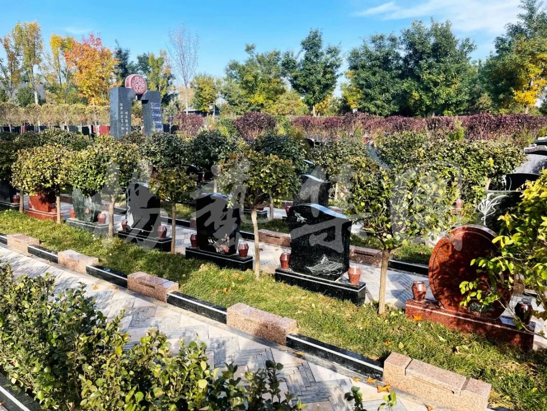 亿万先生MR·(中国集团)官方网站