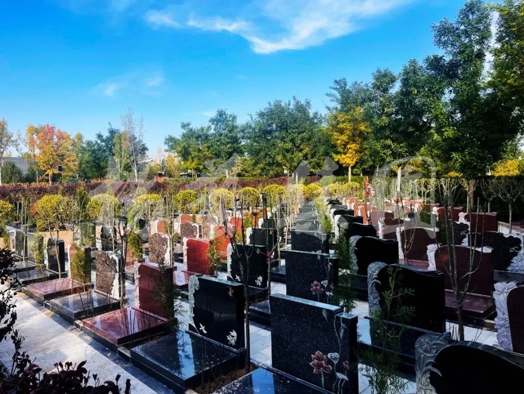 亿万先生MR·(中国集团)官方网站