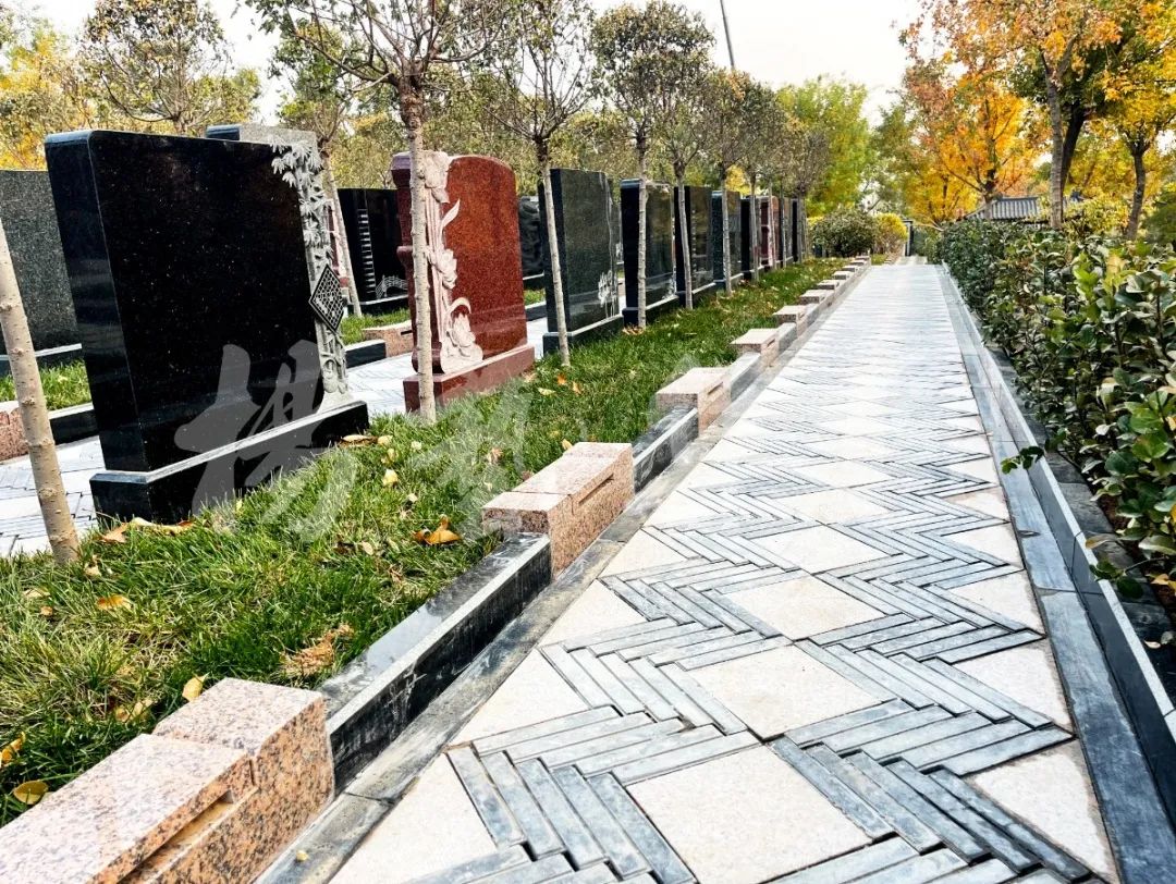 亿万先生MR·(中国集团)官方网站