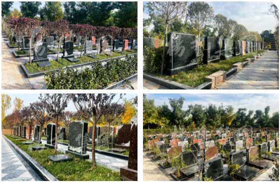 亿万先生MR·(中国集团)官方网站