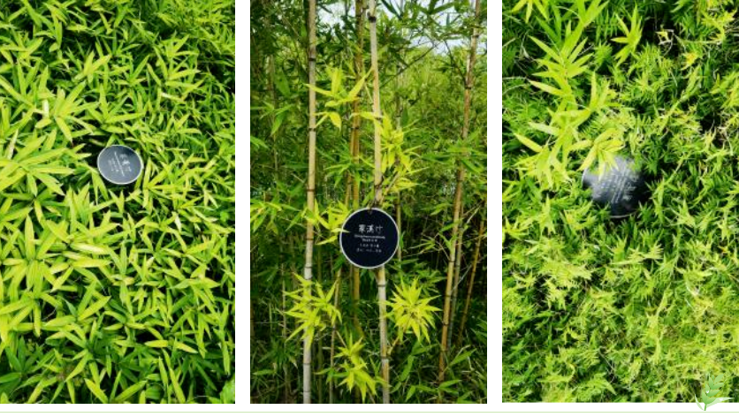 亿万先生MR·(中国集团)官方网站