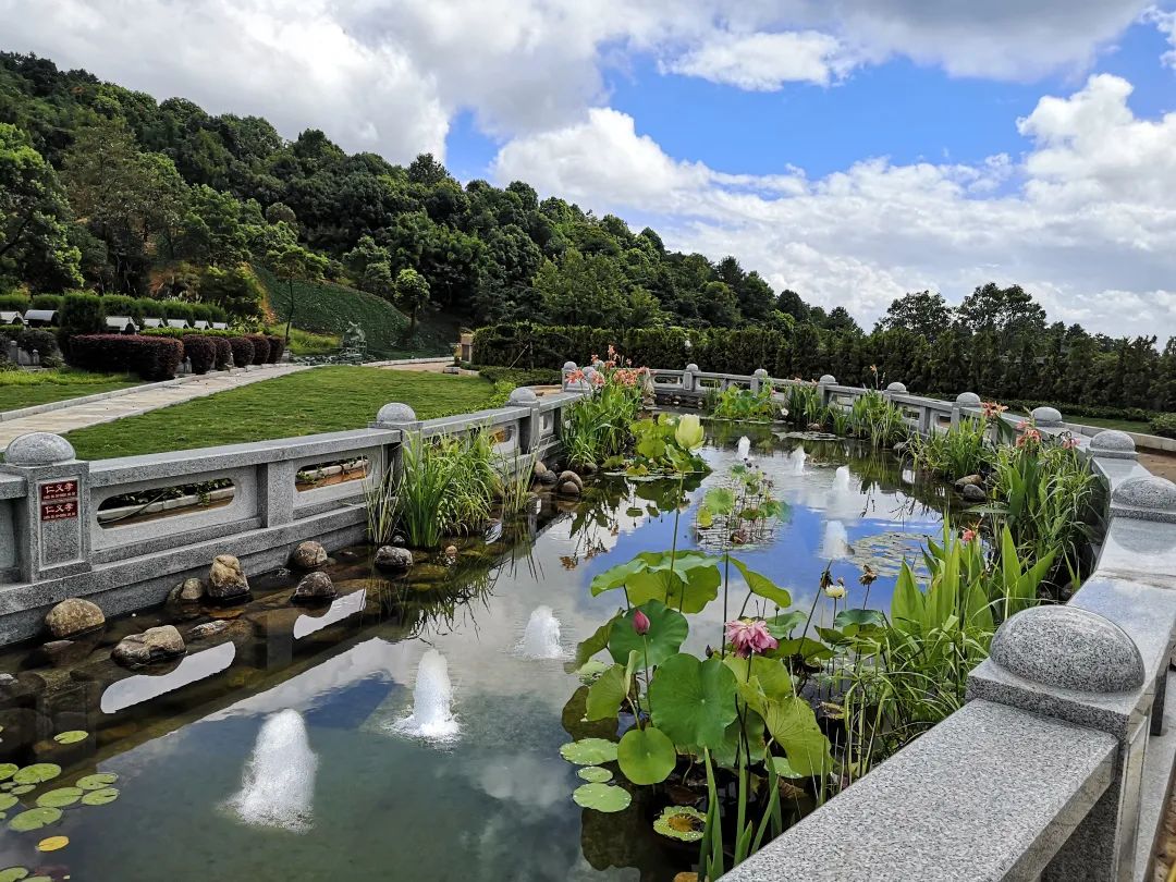 亿万先生MR·(中国集团)官方网站