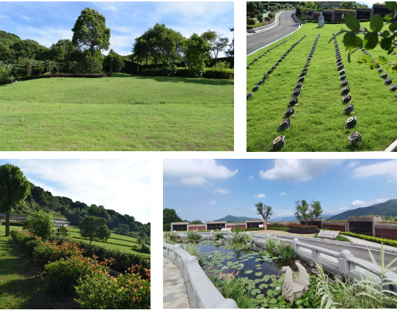 亿万先生MR·(中国集团)官方网站