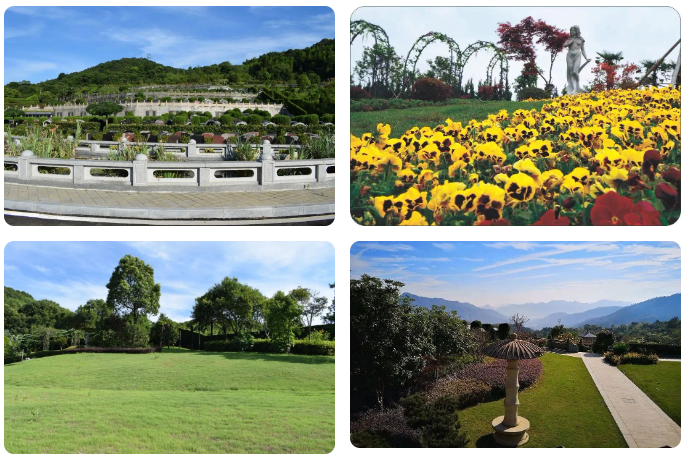 亿万先生MR·(中国集团)官方网站