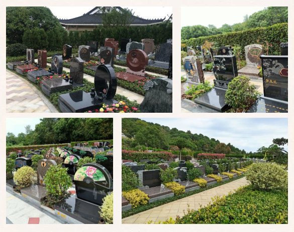 亿万先生MR·(中国集团)官方网站