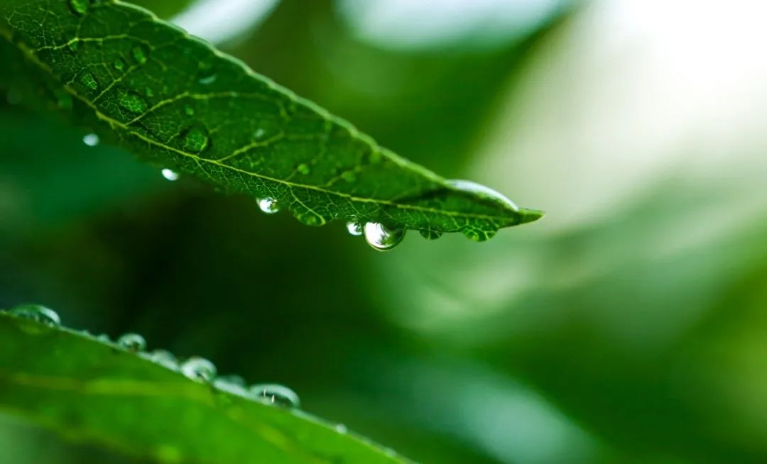 亿万先生MR·(中国集团)官方网站