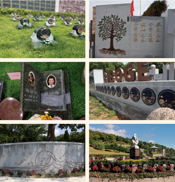 亿万先生MR·(中国集团)官方网站