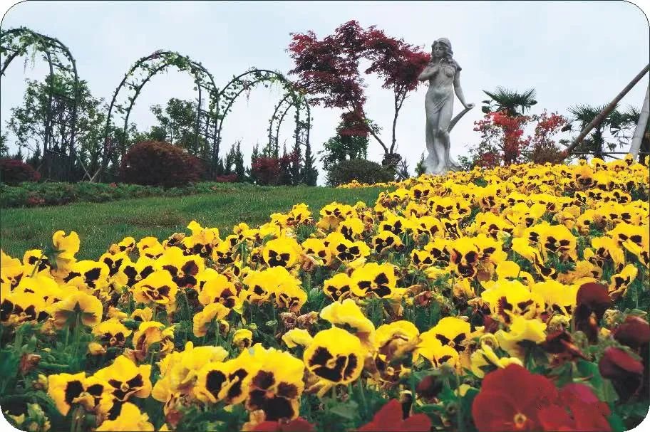 亿万先生MR·(中国集团)官方网站