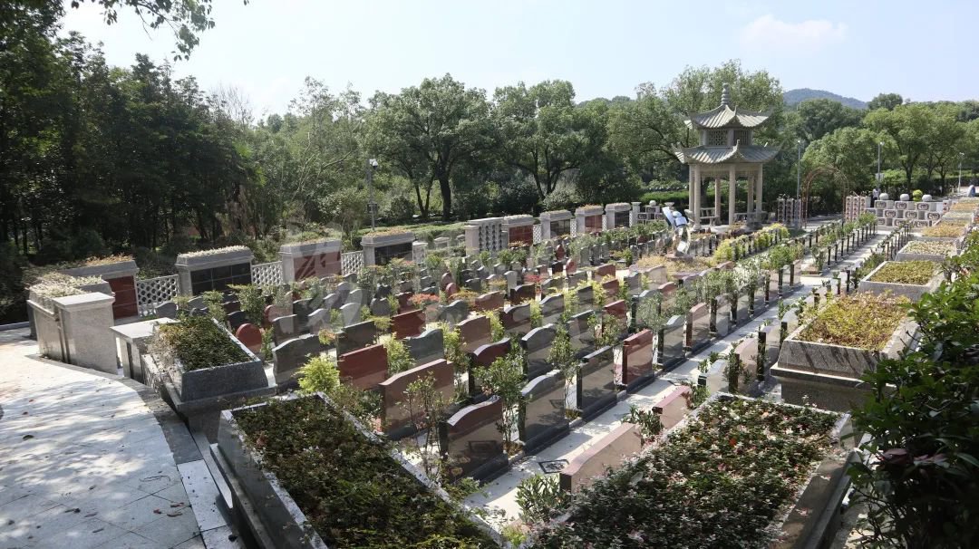 亿万先生MR·(中国集团)官方网站