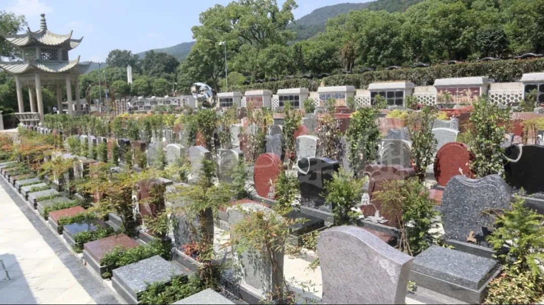 亿万先生MR·(中国集团)官方网站