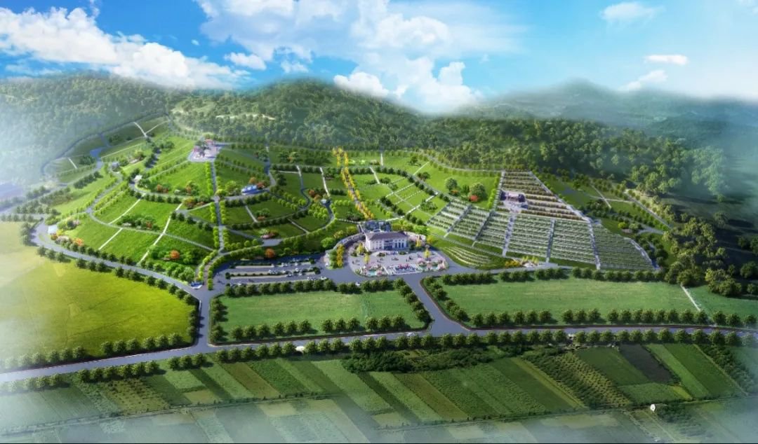 亿万先生MR·(中国集团)官方网站